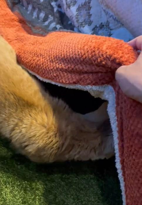 出所：@kotaro_0315