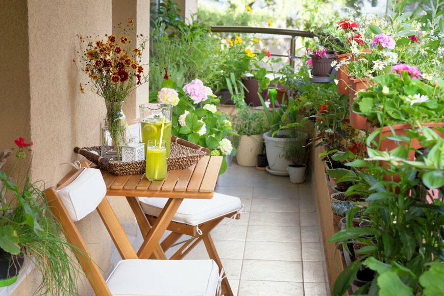 【ガーデニング】この春始めたい「ベランダガーデン」5つのコツ。小スペースでも育てやすい植物5選