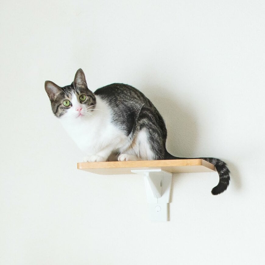 出所：平安伸銅工業株式会社　キャットステップ ホワイト（CFL-1WH）