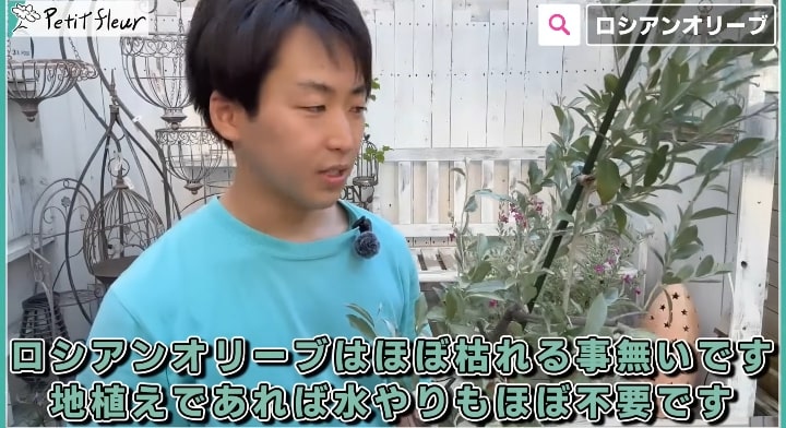 @petit_fleurさんオススメ低木4選画像