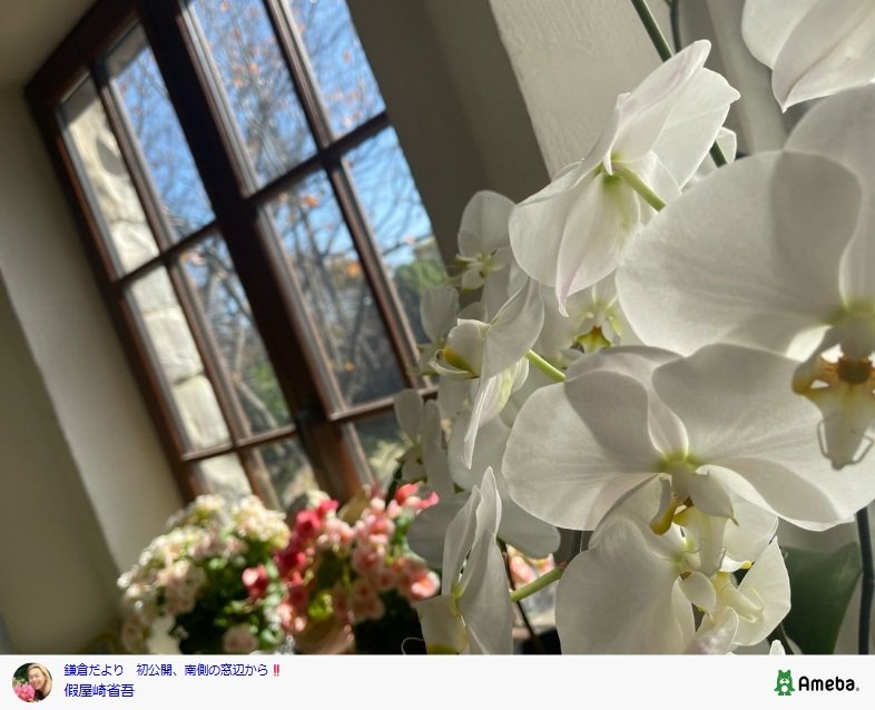 假屋崎省吾の公式ブログ投稿