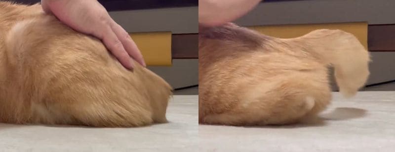 投稿動画のワンシーン