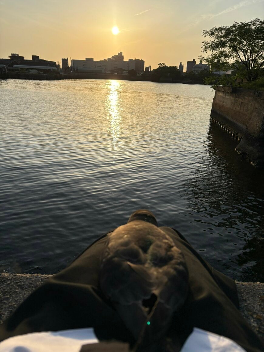 夕日がとてもきれいですね