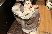 帰宅すると妻がランデブー、入る余地なし！？猫も「見たな…」