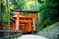 大阪万博の花火を京都の伏見稲荷から撮影！「51キロ先とは思えない」鮮明な美しさに驚きの声