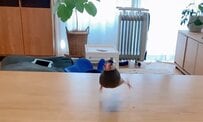「すげぇ…飛んでる」　飼い主に呼ばれてキャッキャしてる文鳥が話題