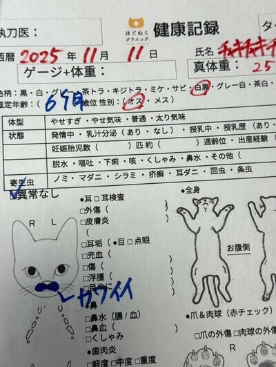予想外の言葉にホッコリ