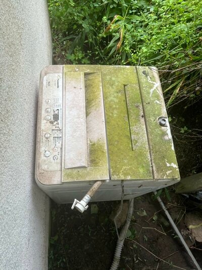 投稿の画像