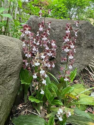 假屋崎省吾のAmeba公式ブログ投稿