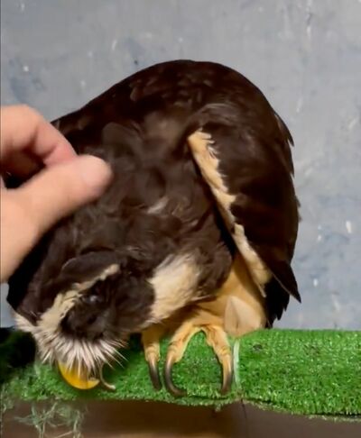 投稿動画のワンシーン