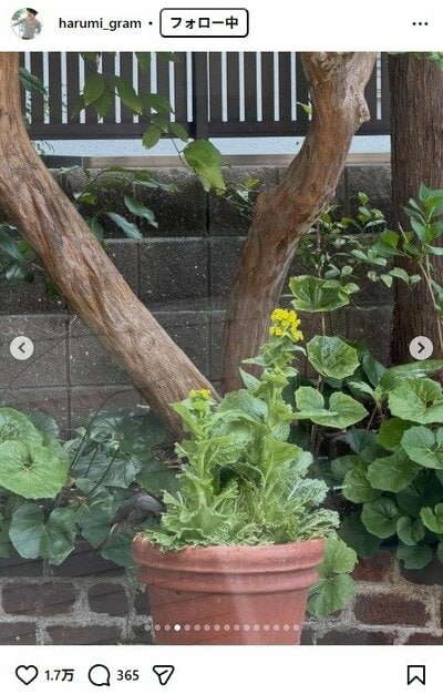 栗原はるみのInstagram投稿