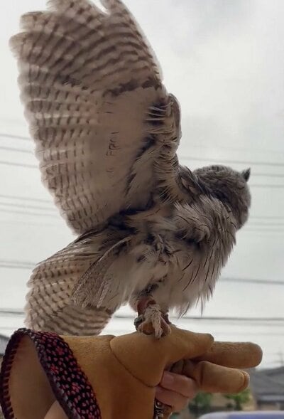 投稿動画のワンシーン