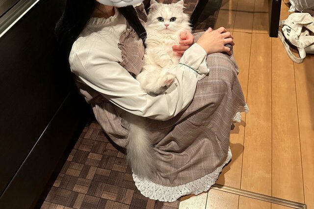 帰宅すると妻がランデブー、入る余地なし！？猫も「見たな…」