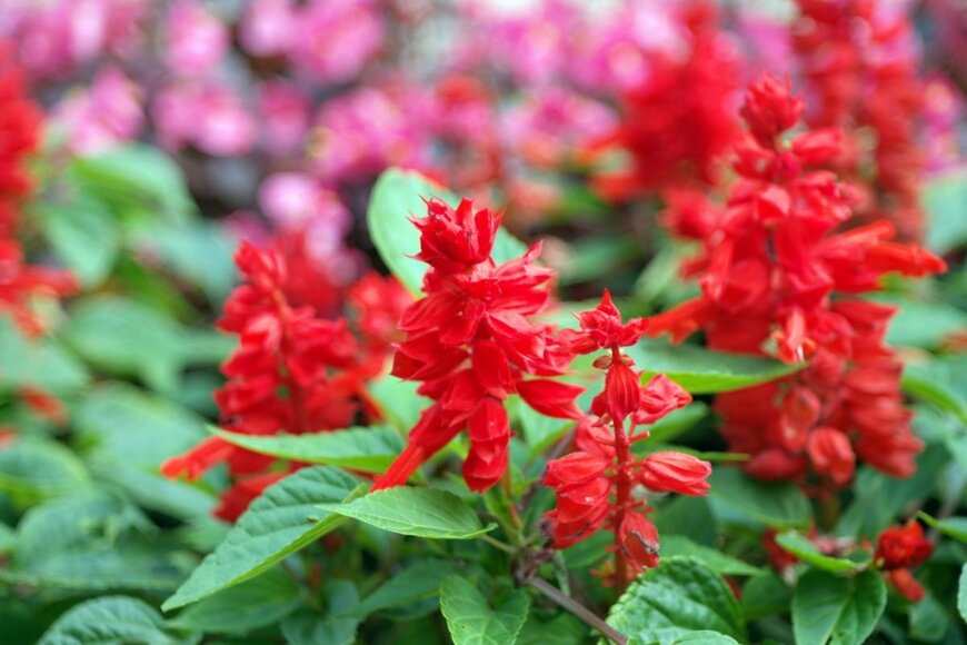 R3BV/shutterstock.com