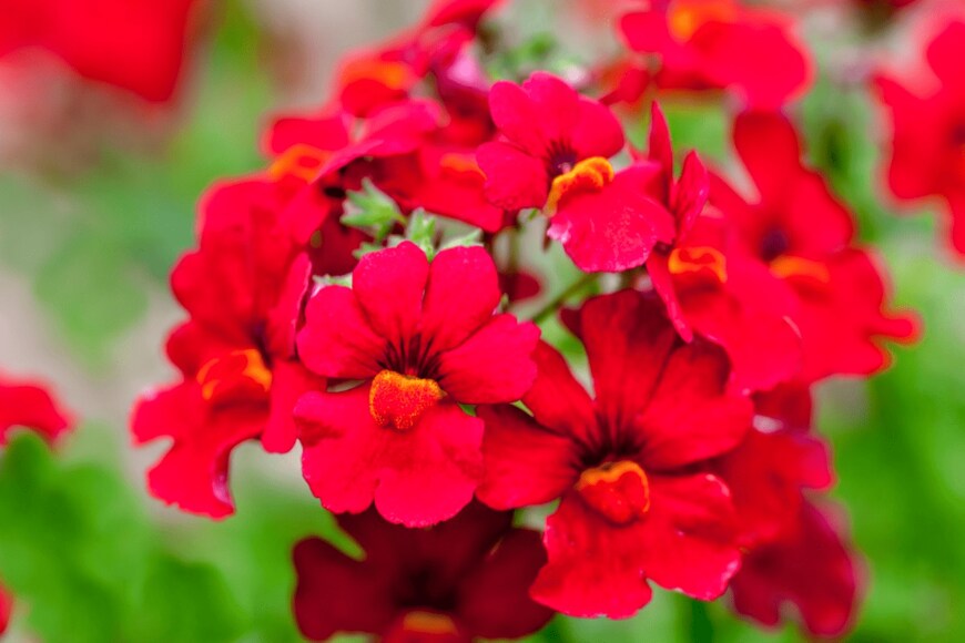 onepony/istockphoto.com