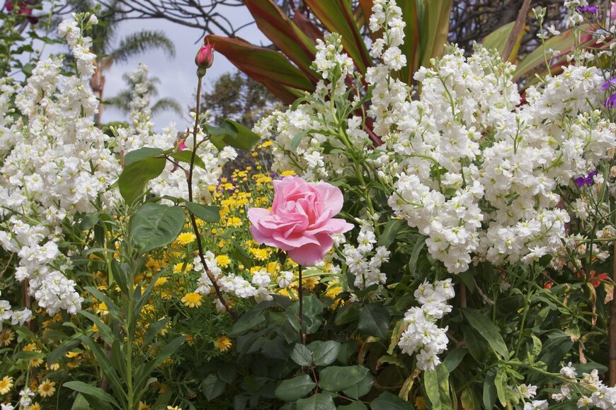 MAKNAD/Shutterstock.com