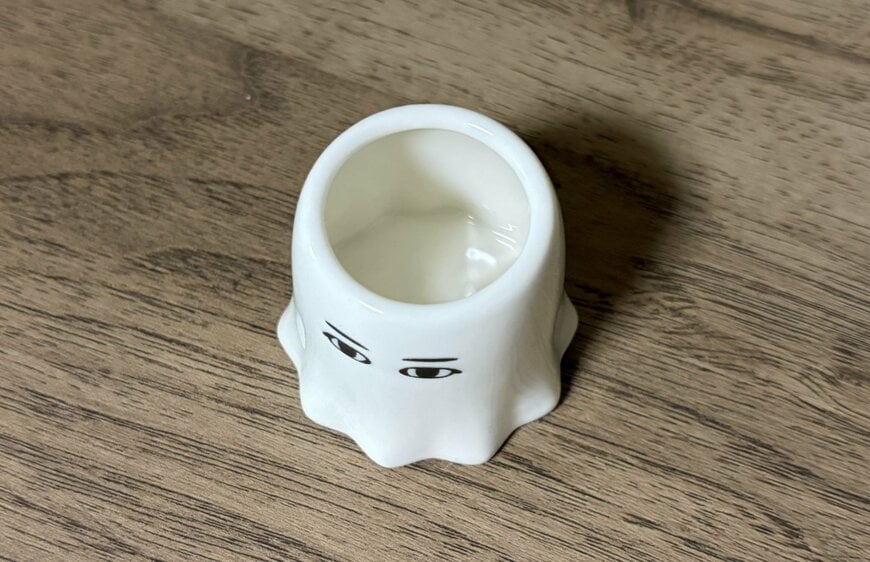 筆者撮影（セリア、フリーカップ エジプトファン）