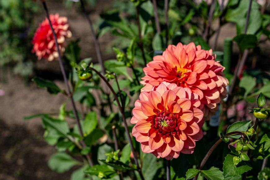 Billy_Fam/istockphoto.com