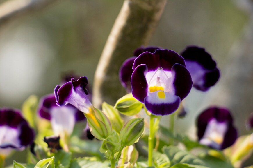 chingraph/istockphoto.com