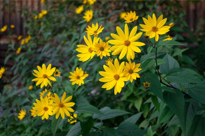 Iva Vagnerova/istockphoto.com