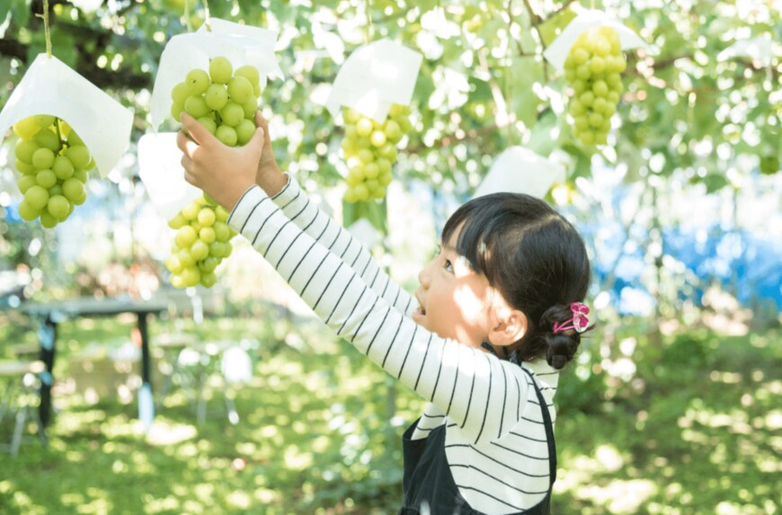画像：T.TATSU /shutterstock.com（写真はイメージです）
