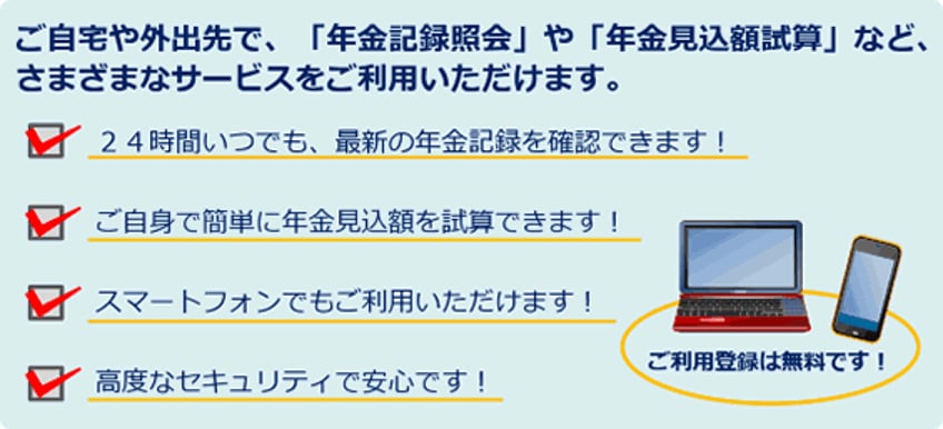 出所：日本年金機構「ねんきんネット」