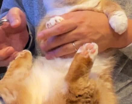 出所：@kotaro_0315