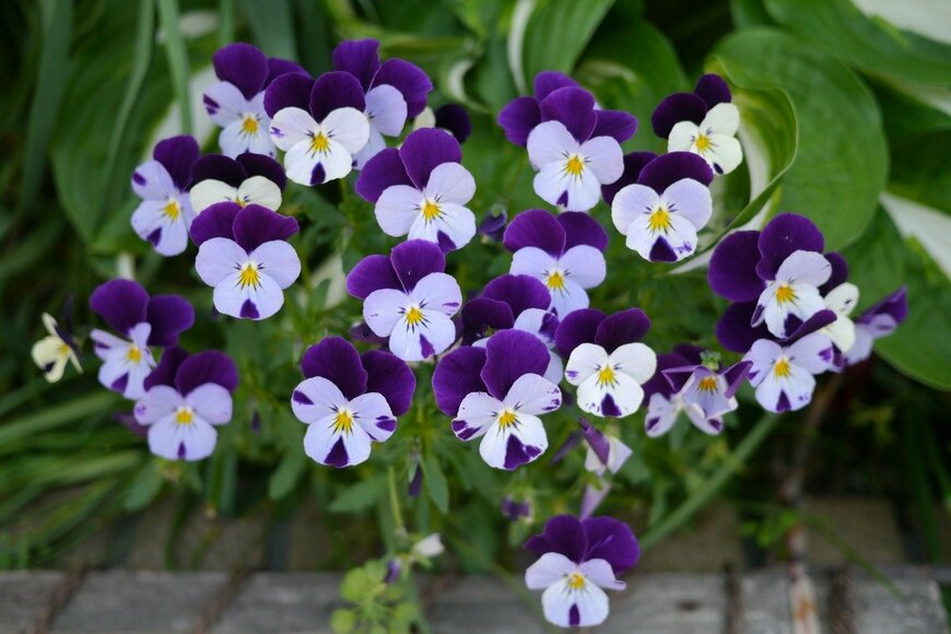 holywinpic/istockphoto.com