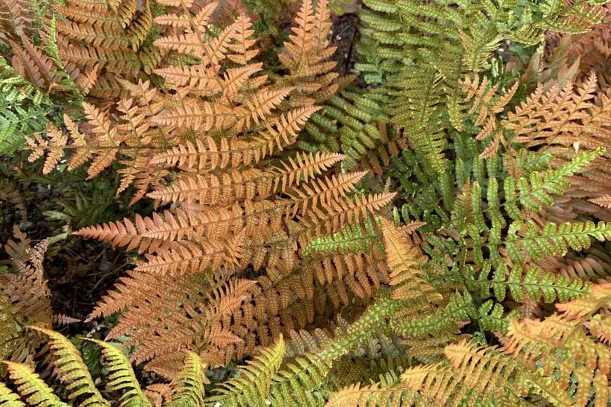 Joe Kuis/shutterstock.com