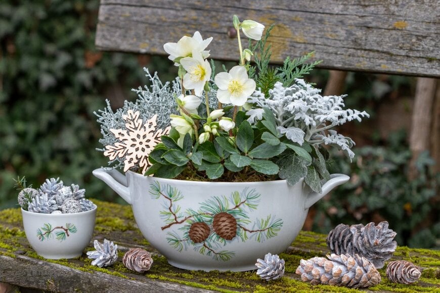 Natalia Greeske/shutterstock.com