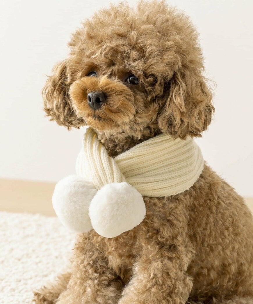 画像出所：3COINS公式サイト（PAL CLOSET）