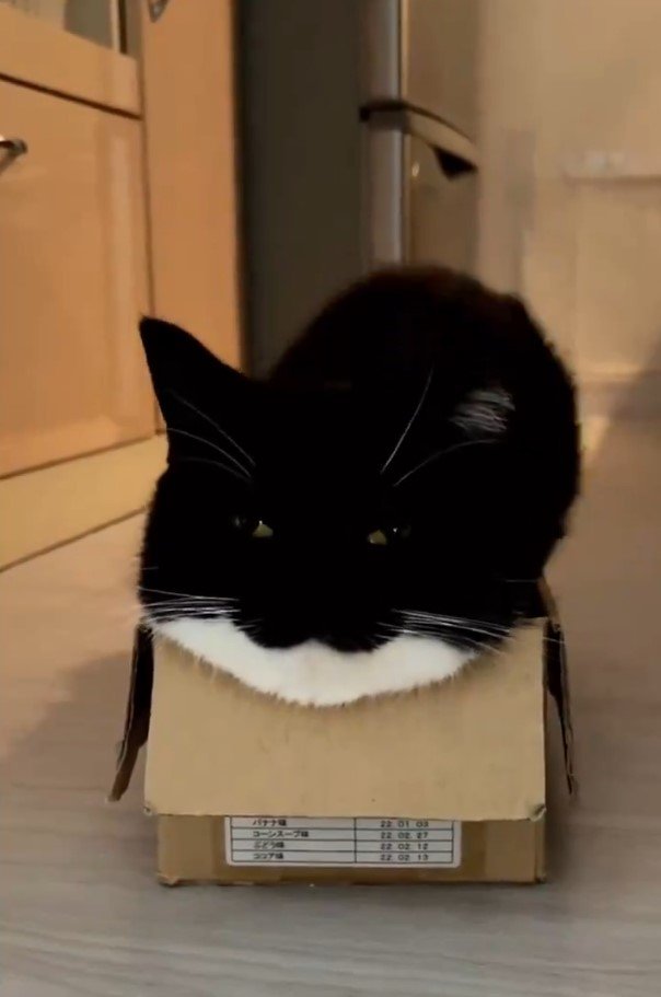 出所：＠unicouniuni3