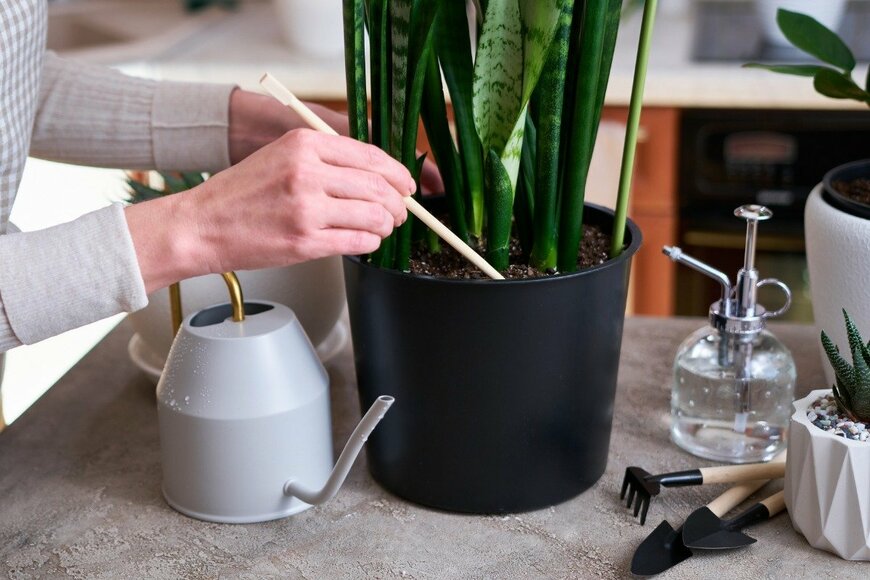 repinanatoly/istockphoto.com