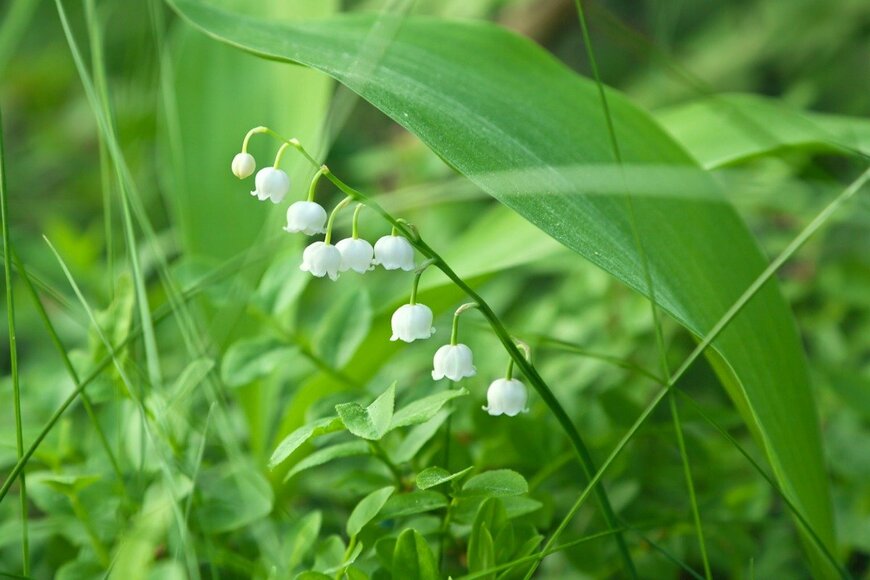 GodunovaTatiana/istockphoto.com