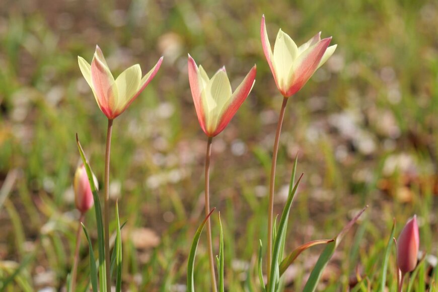 oisin3/shutterstock.com