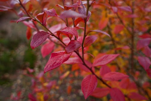 JoannaTkaczuk/shutterstock.com