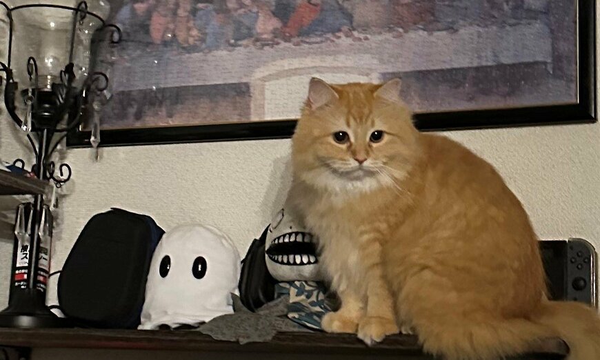 出所：@NEKOLAND13