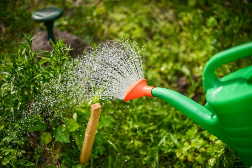 緑のじょうろで水やりをしている