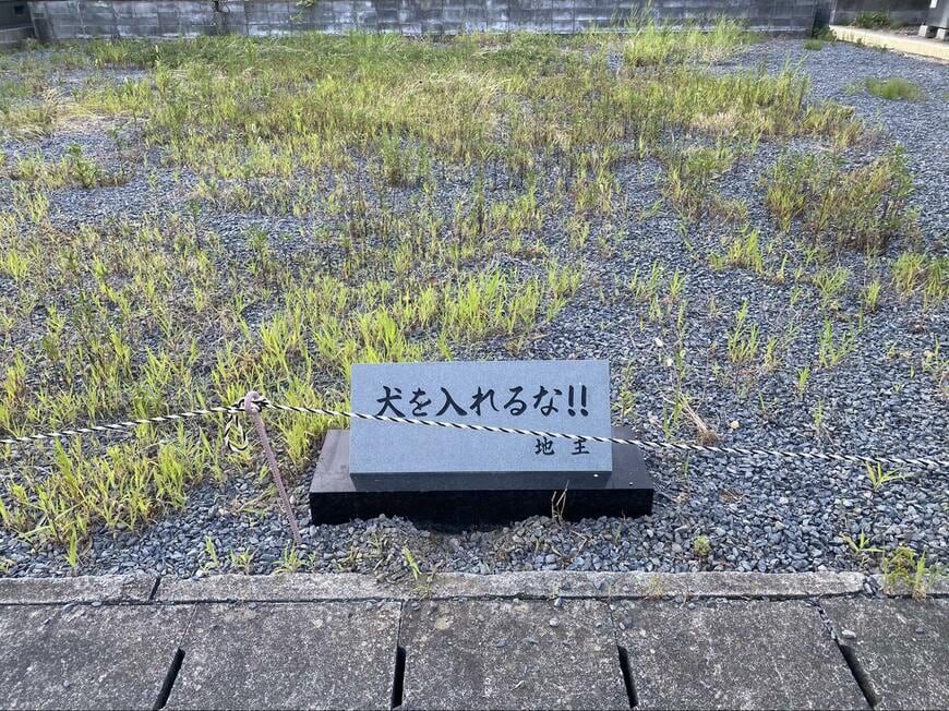 空地と思われる場所で発見された光景
