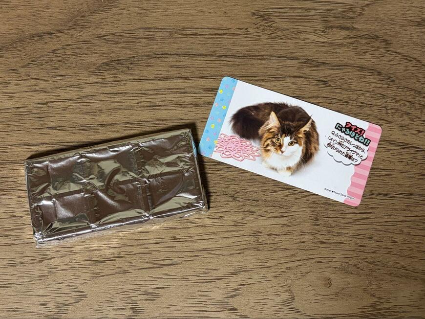 ダイソー、きまぐれねこにゃん・おしゃべりわんこの画像