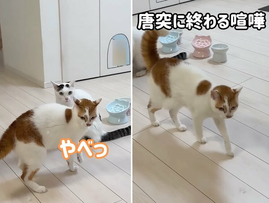 投稿の画像