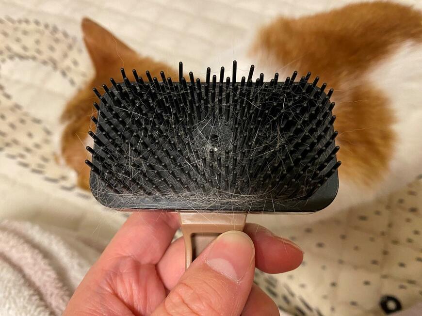 ペット用ブラシ(ボタン式)