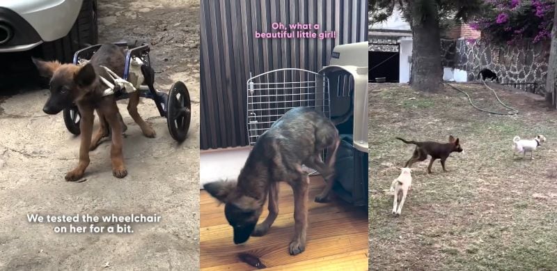 「刺激を受けました」「心が温まった」の声