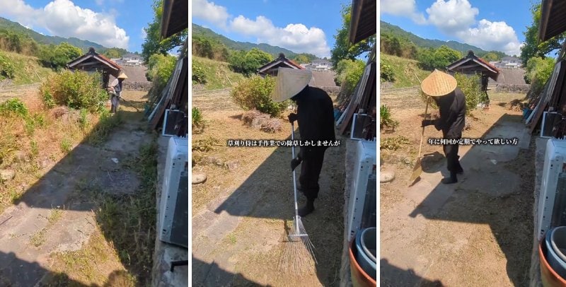 投稿の画像
