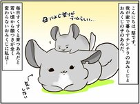 朝の健康チェックで新入りによる事件が発生⁈ 【チンチライフ68話】