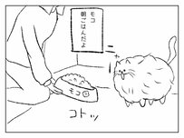 モコモコ過ぎる猫「モコ」の意外な動きに癒されまくる「みちこちゃん」を見てみよう