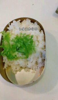 ダイエット中のシングルパパが作る「ハンバーグ弁当」が美味しそう！「やっぱり肉は恋しい！」