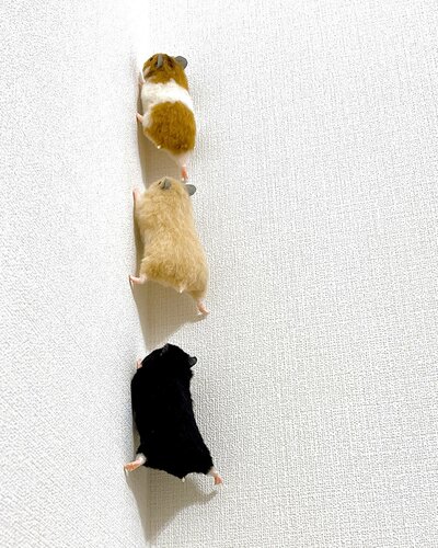 「3年くらい前からどう作るか悩んでいたものをやっと完成」