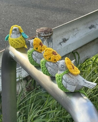 夏服になっていたピコリーノの鳥
