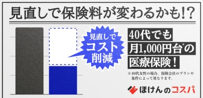 猫24匹と過ごすクリスマス」カルディ「にゃんだふるカレンダー」3498円